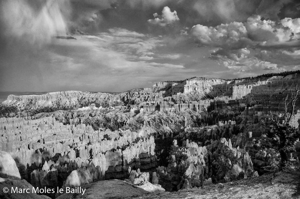Photography by Marc Moles le Bailly - North America - Bryce Canyon National Park