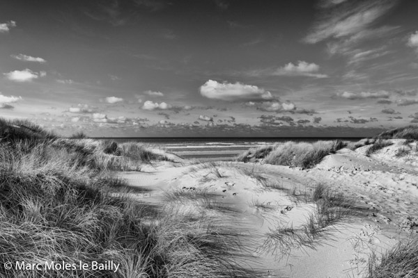 Photography by Marc Moles le Bailly - Rivages - Koksijde Dunes