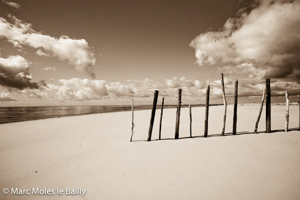 Photography by Marc Moles le Bailly - Rivages - Cap Ferret